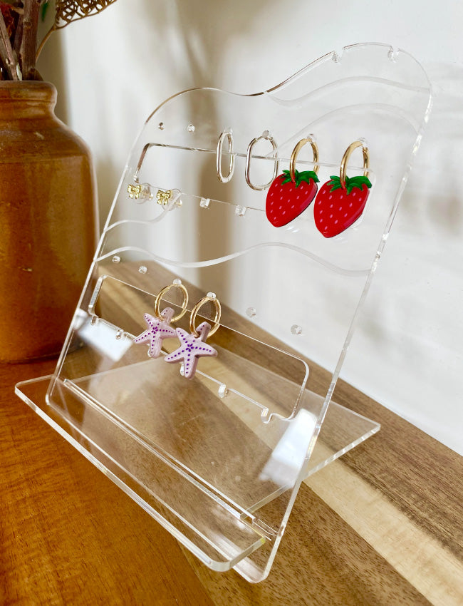 Earring Organiser