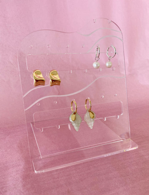 Earring Organiser